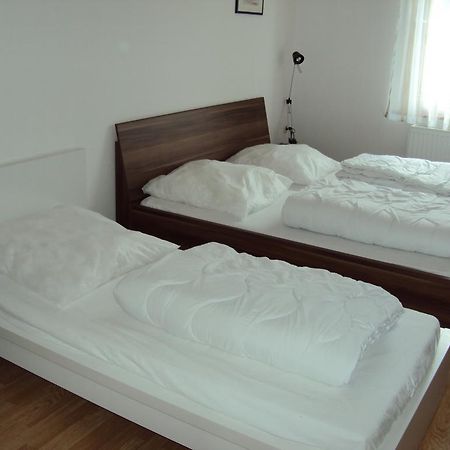 Apartments Ski Sonne Rehe Rehefeld-Zaunhaus 外观 照片