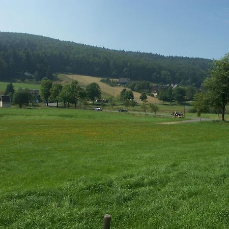 Apartments Ski Sonne Rehe Rehefeld-Zaunhaus 外观 照片